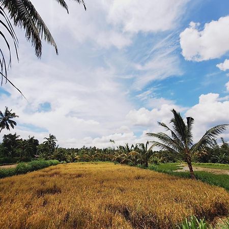 Bunga Maliq Bungalow Lombok Tetebatu Exterior photo