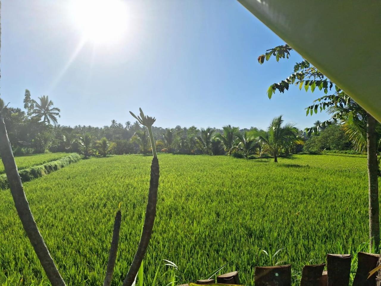 Bunga Maliq Bungalow Lombok Tetebatu Room photo