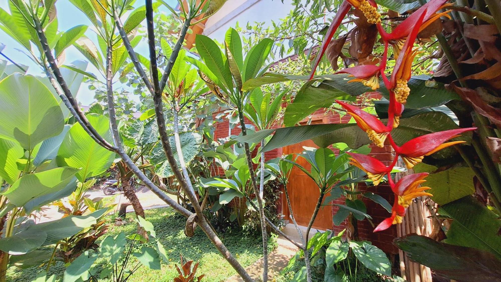 Bunga Maliq Bungalow Lombok Tetebatu Room photo
