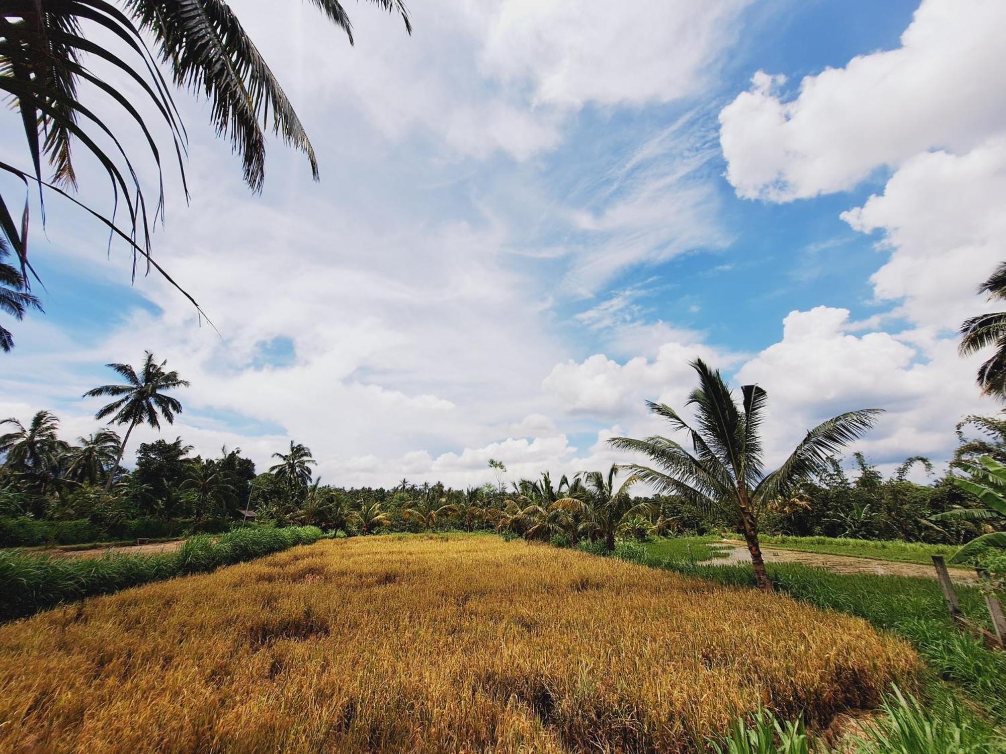 Bunga Maliq Bungalow Lombok Tetebatu Exterior photo